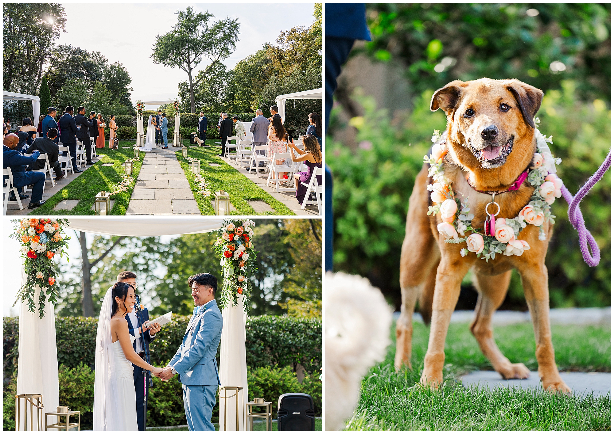 A wedding ceremony outdoors, with a couple exchanging vows under a floral arch and guests seated. A dog wearing a flower garland stands on grass, looking at the camera.